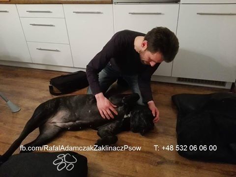 Neera - już w nowym domu